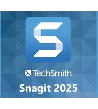 TechSmith Snagit 2025 1 Jahr / 1 Key GLOBAL